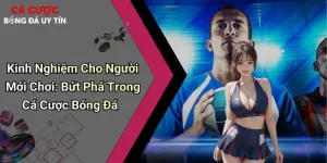 Kinh Nghiệm Cho Người Mới Chơi: Bứt Phá Trong Cá Cược Bóng Đá