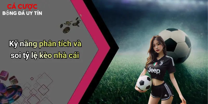 Kỹ năng phân tích và soi tỷ lệ kèo nhà cái