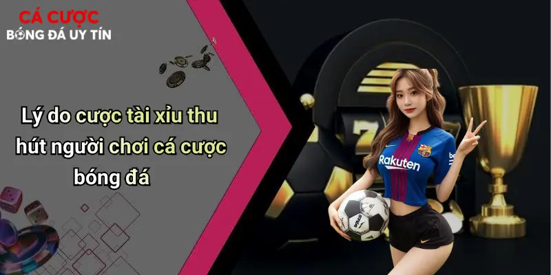 Lý do cược tài xỉu thu hút người chơi cá cược bóng đá