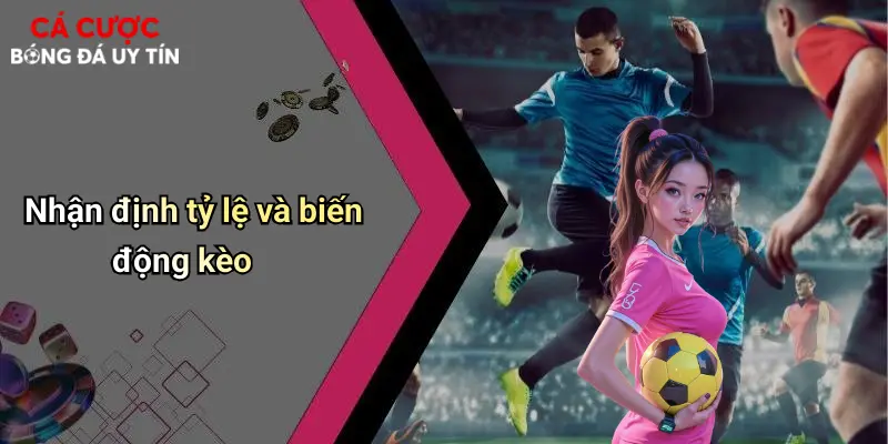Nhận định tỷ lệ và biến động kèo