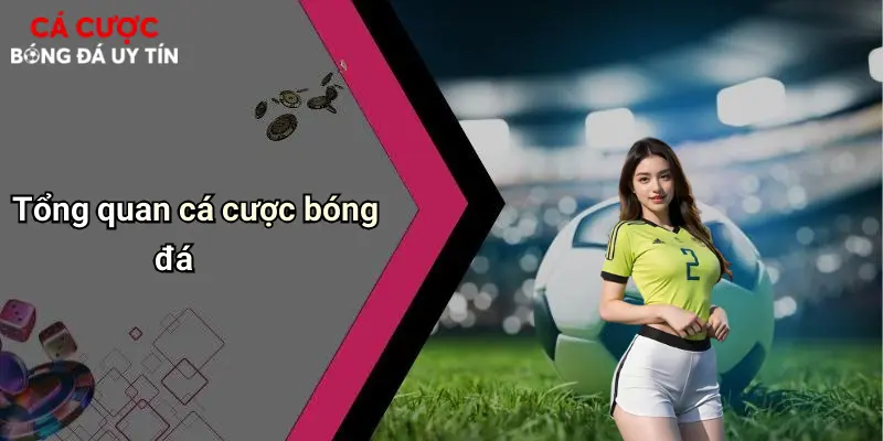 Tổng quan cá cược bóng đá