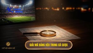 Giải mã bảng kèo trong cá cược
