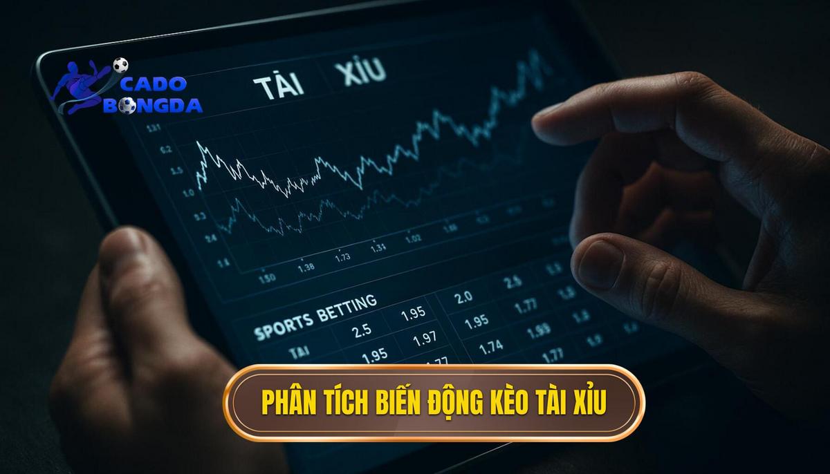 Phân Tích Chuyên Sâu Về Biến Động Kèo Tài Xỉu