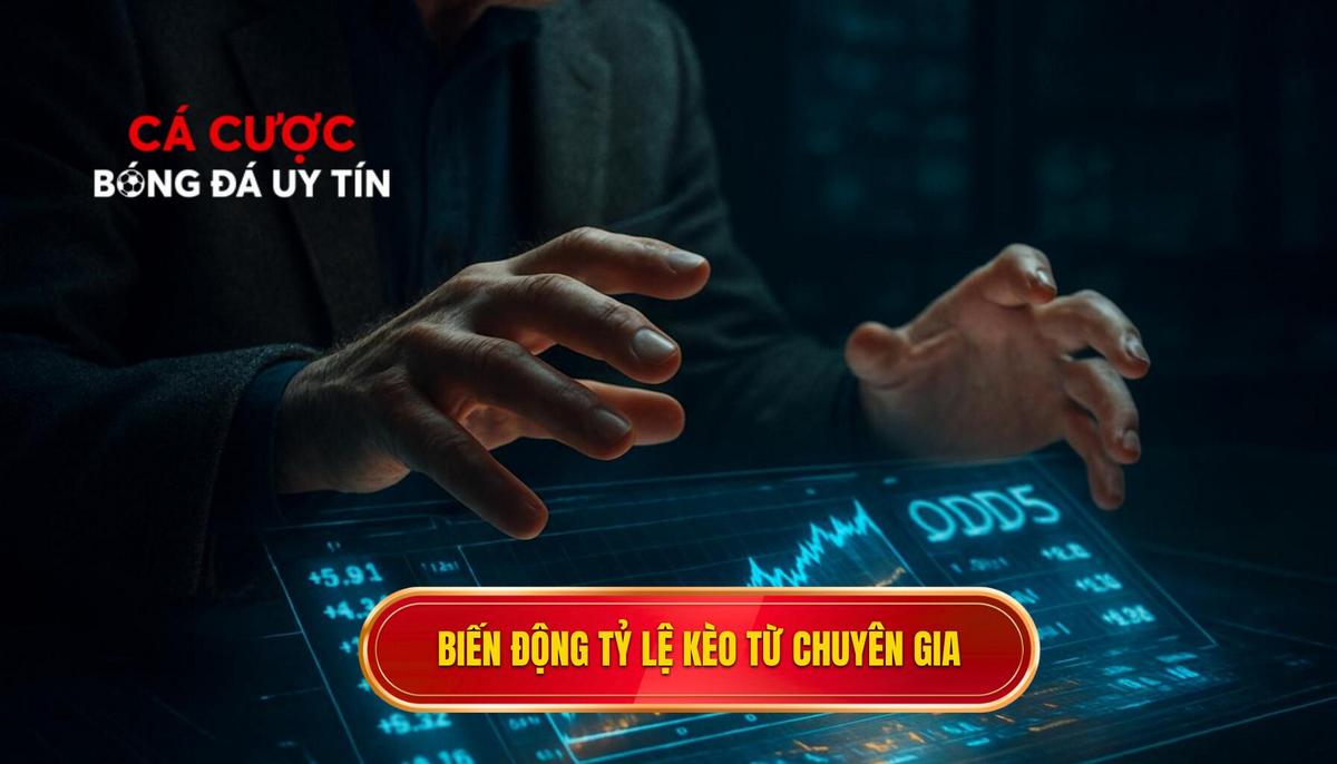 Biến động tỷ lệ kèo và chiến thuật soi kèo từ chuyên gia