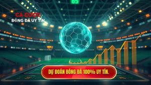 Dự đoán bóng đá chính xác 100