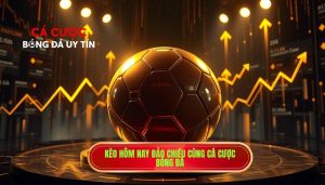 Kèo hôm nay đảo chiều cùng CÁ CƯỢC BÓNG ĐÁ